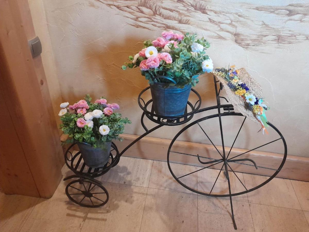 Lesny Dworek زاكوباني المظهر الخارجي الصورة